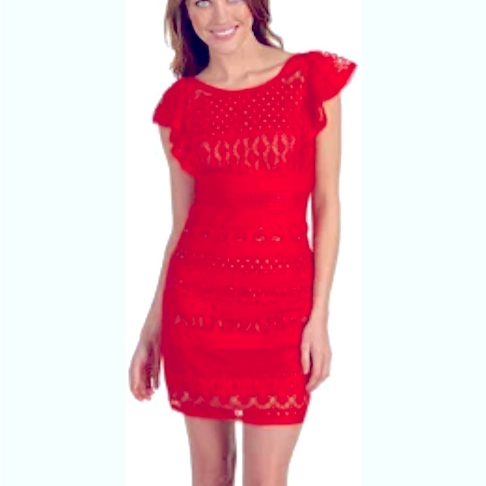 BCBGMAXAZARIA Renata‎ Red Berry Lace Dress nude lined cotton silk Size 6